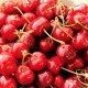 Cherries
